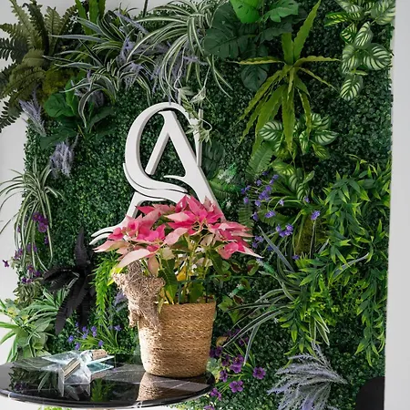 公寓 Alsa Conil 科尼尔-德拉弗龙特拉