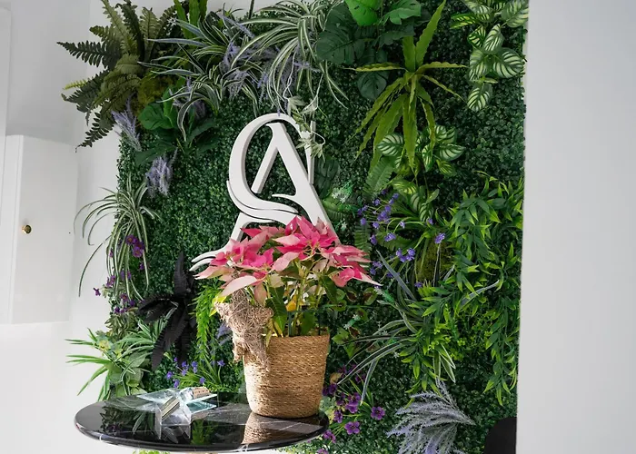 公寓 Alsa Conil 科尼尔-德拉弗龙特拉